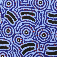 Aboriginal Artwork by Jenny Nangala Watson, Pirlarla Jukurrpa (Dogwood Tree Bean Dreaming), 30x30cm
