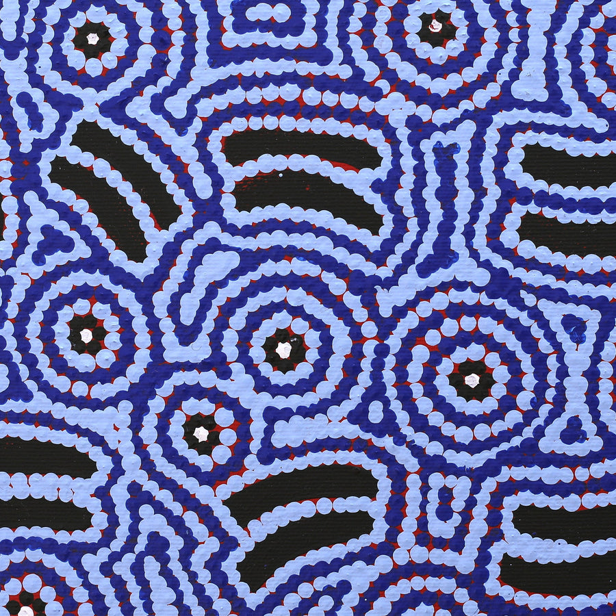 Aboriginal Artwork by Jenny Nangala Watson, Pirlarla Jukurrpa (Dogwood Tree Bean Dreaming), 30x30cm