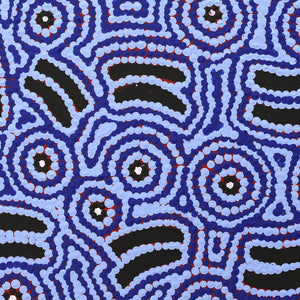 Aboriginal Artwork by Jenny Nangala Watson, Pirlarla Jukurrpa (Dogwood Tree Bean Dreaming), 30x30cm - ART ARK®