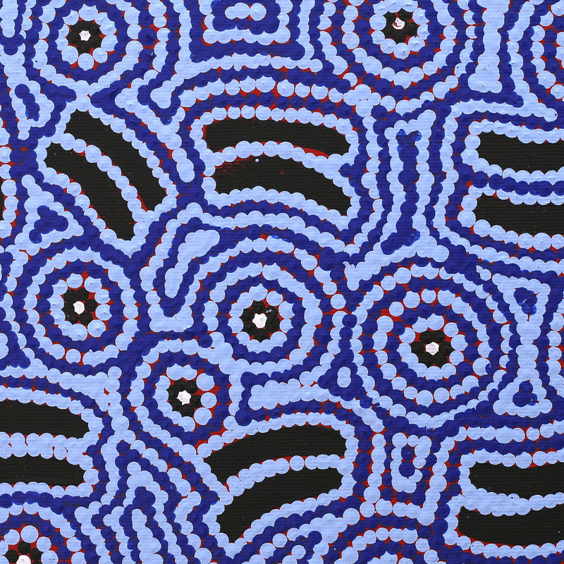 Aboriginal Artwork by Jenny Nangala Watson, Pirlarla Jukurrpa (Dogwood Tree Bean Dreaming), 30x30cm