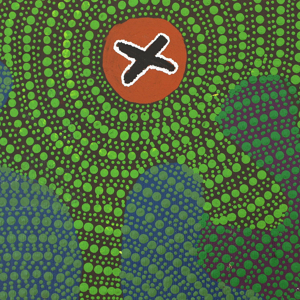 Aboriginal Artwork by Jill Nungarrayi Watson, Ngatijirri Jukurrpa (Budgerigar Dreaming), 30x30cm