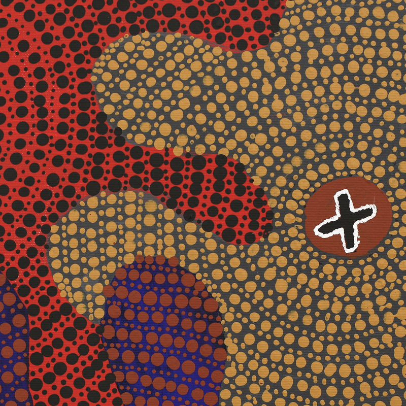 Aboriginal Artwork by Jill Nungarrayi Watson, Ngatijirri Jukurrpa (Budgerigar Dreaming), 30x30cm