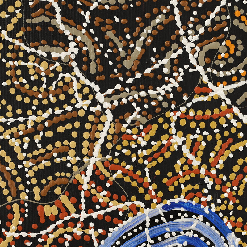 Aboriginal Artwork by Jillian Nampijinpa Brown, Ngapa Jukurrpa (Water Dreaming) - Mikanji, 30x30cm