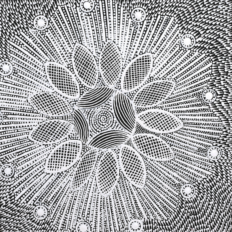 Aboriginal Artwork by Jocelyn Napanangka Frank, Lukarrara Jukurrpa, 30x30cm