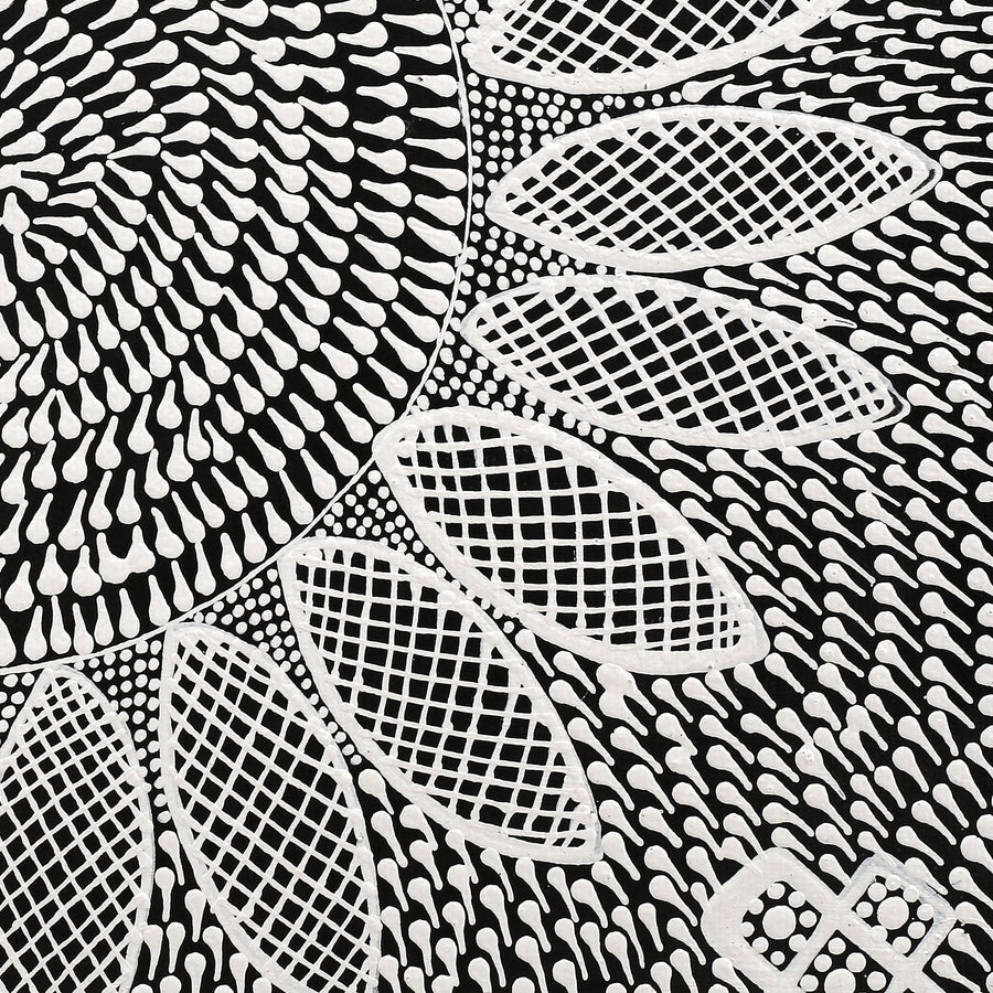 Aboriginal Artwork by Jocelyn Napanangka Frank, Lukarrara Jukurrpa, 30x30cm