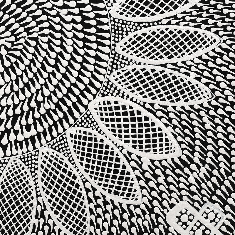 Aboriginal Artwork by Jocelyn Napanangka Frank, Lukarrara Jukurrpa, 30x30cm
