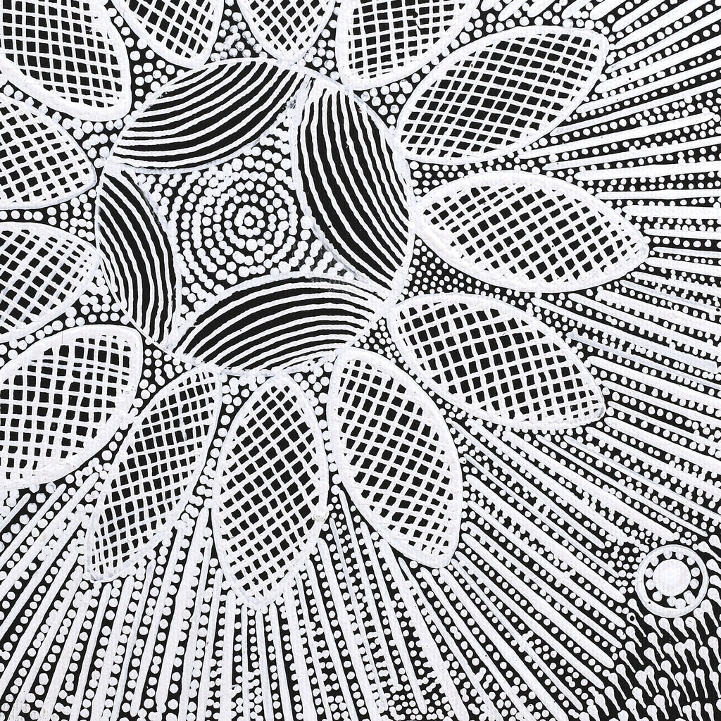 Aboriginal Artwork by Jocelyn Napanangka Frank, Lukarrara Jukurrpa, 30x30cm