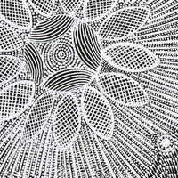 Aboriginal Artwork by Jocelyn Napanangka Frank, Lukarrara Jukurrpa, 30x30cm
