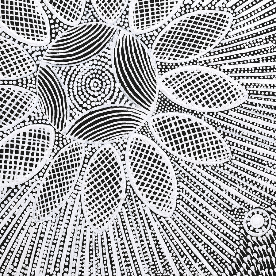 Aboriginal Artwork by Jocelyn Napanangka Frank, Lukarrara Jukurrpa, 30x30cm