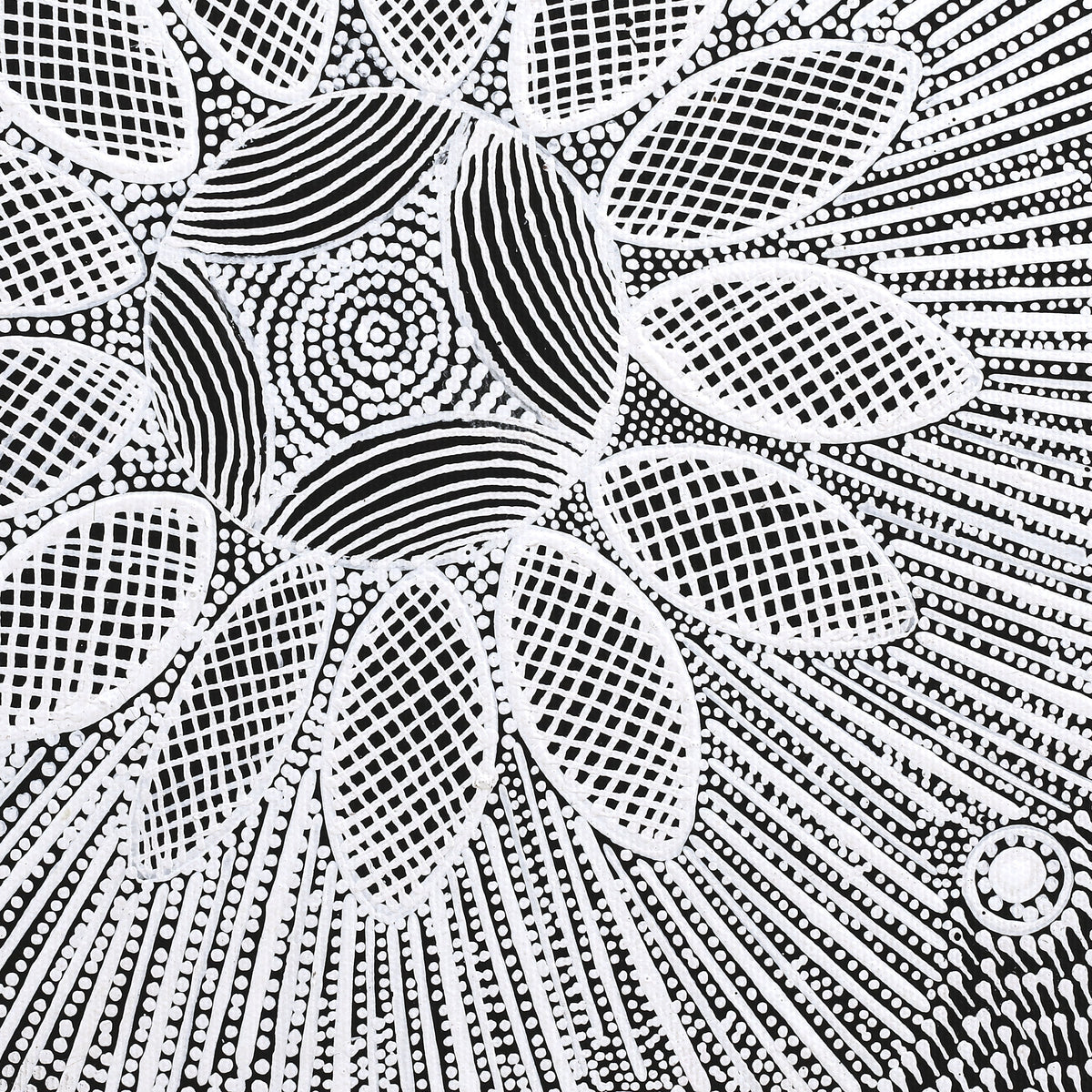 Aboriginal Art by Jocelyn Napanangka Frank, Lukarrara Jukurrpa, 30x30cm - ART ARK®