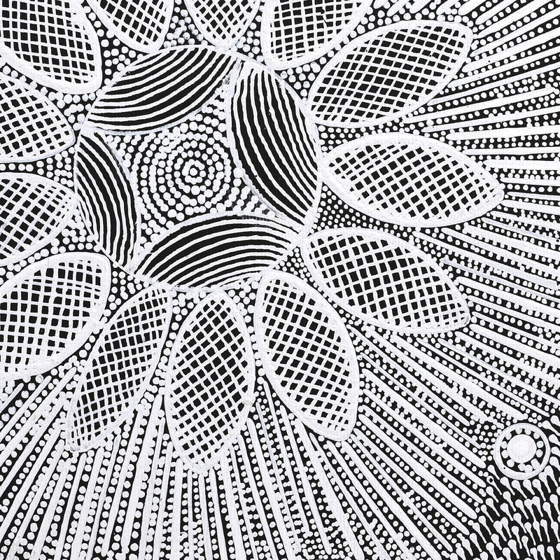 Aboriginal Artwork by Jocelyn Napanangka Frank, Lukarrara Jukurrpa, 30x30cm