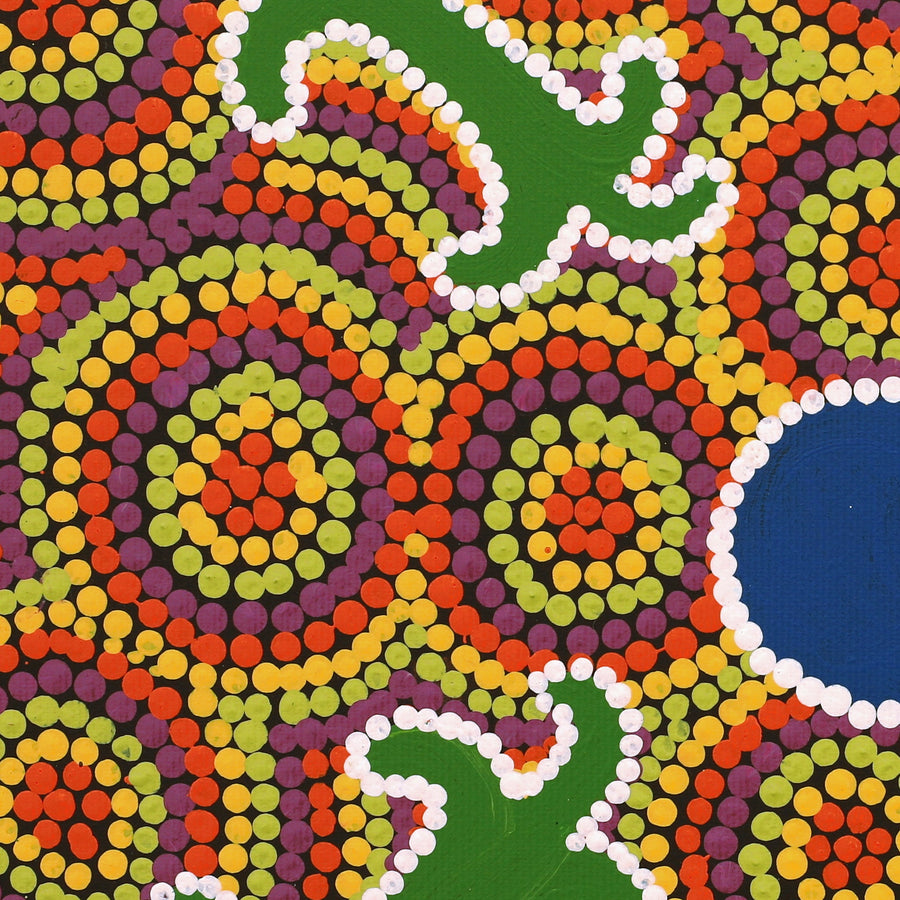 Aboriginal Artwork by Julie Napaljarri Kitson, Ngatijirri Jukurrpa (Budgerigar Dreaming), 30x30cm