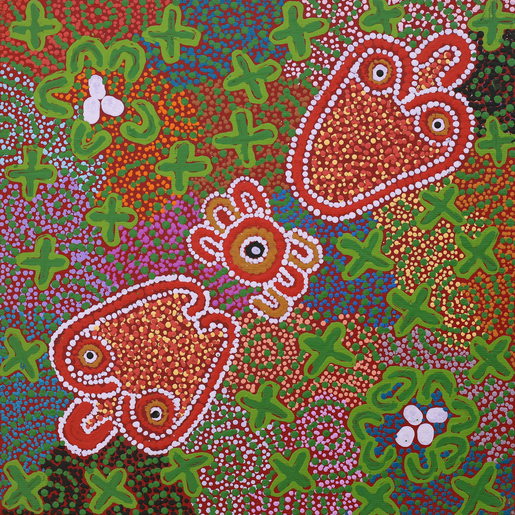 Aboriginal Artwork by Julie Napurrurla Gordon, Jarlajirrpi Jukurrpa (Owlet Nightjar Dreaming), 30x30cm