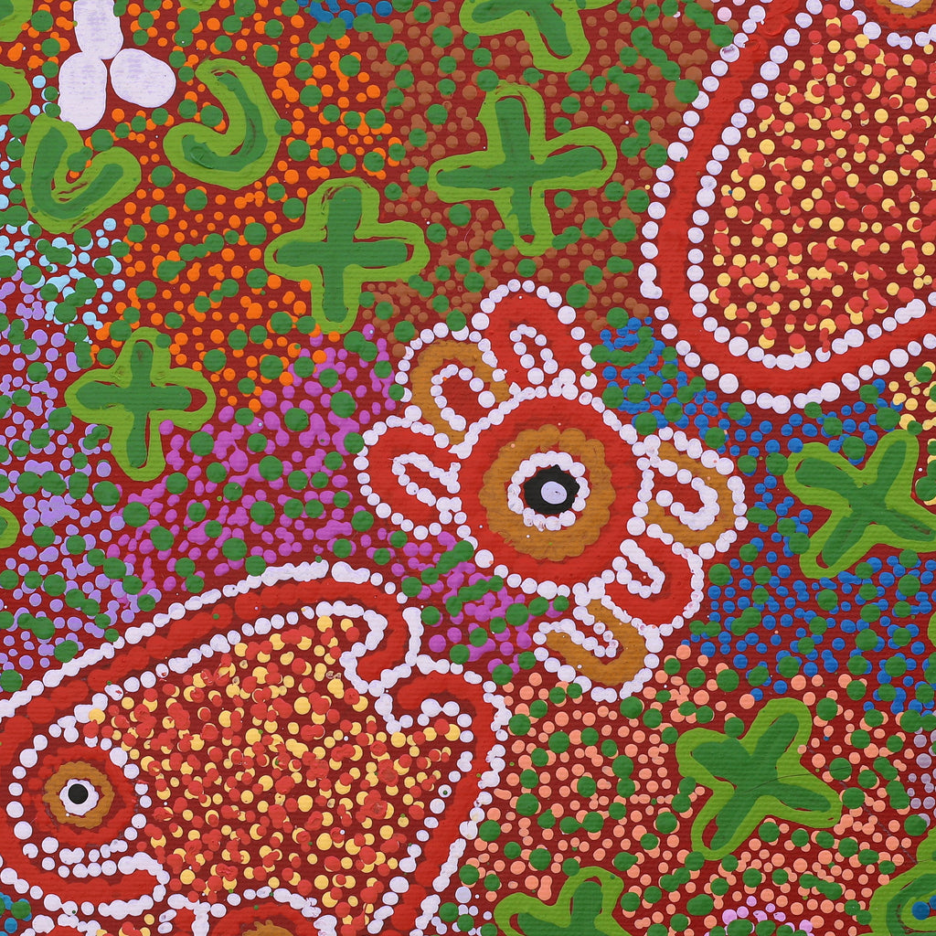 Aboriginal Art by Julie Napurrurla Gordon, Jarlajirrpi Jukurrpa (Owlet Nightjar Dreaming), 30x30cm - ART ARK®