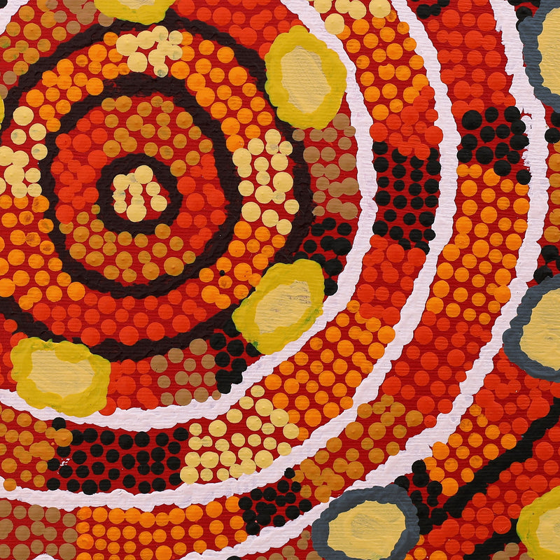Aboriginal Artwork by Juliette Nakamarra Morris, Wanakiji Jukurrpa (Bush Tomato Dreaming), 30x30cm