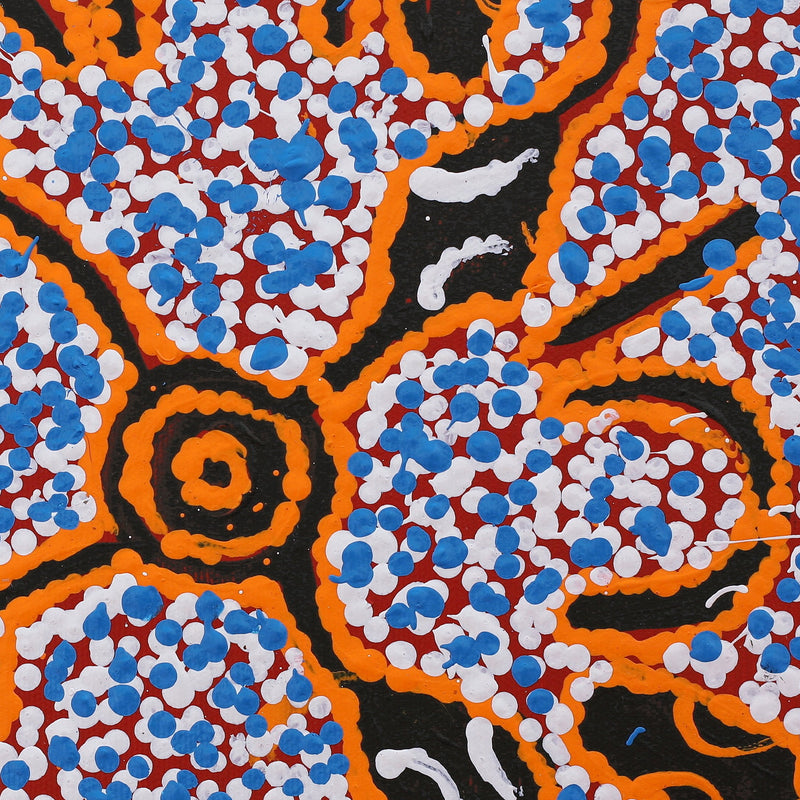 Aboriginal Artwork by Juliette Nampijinpa Brown, Ngapa Jukurrpa (Water Dreaming) - Mikanji, 30x30cm