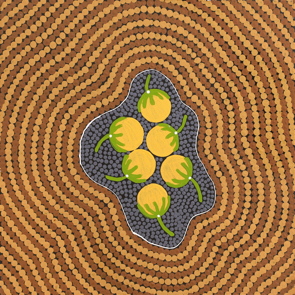 Aboriginal Artwork by Justine Nakamarra Nelson, Wanakiji Jukurrpa (Bush Tomato Dreaming), 30x30cm