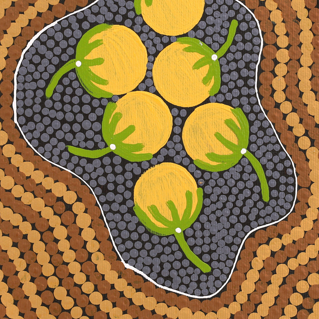 Aboriginal Artwork by Justine Nakamarra Nelson, Wanakiji Jukurrpa (Bush Tomato Dreaming), 30x30cm