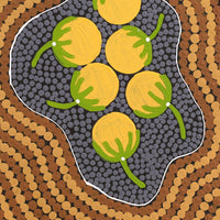 Aboriginal Artwork by Justine Nakamarra Nelson, Wanakiji Jukurrpa (Bush Tomato Dreaming), 30x30cm