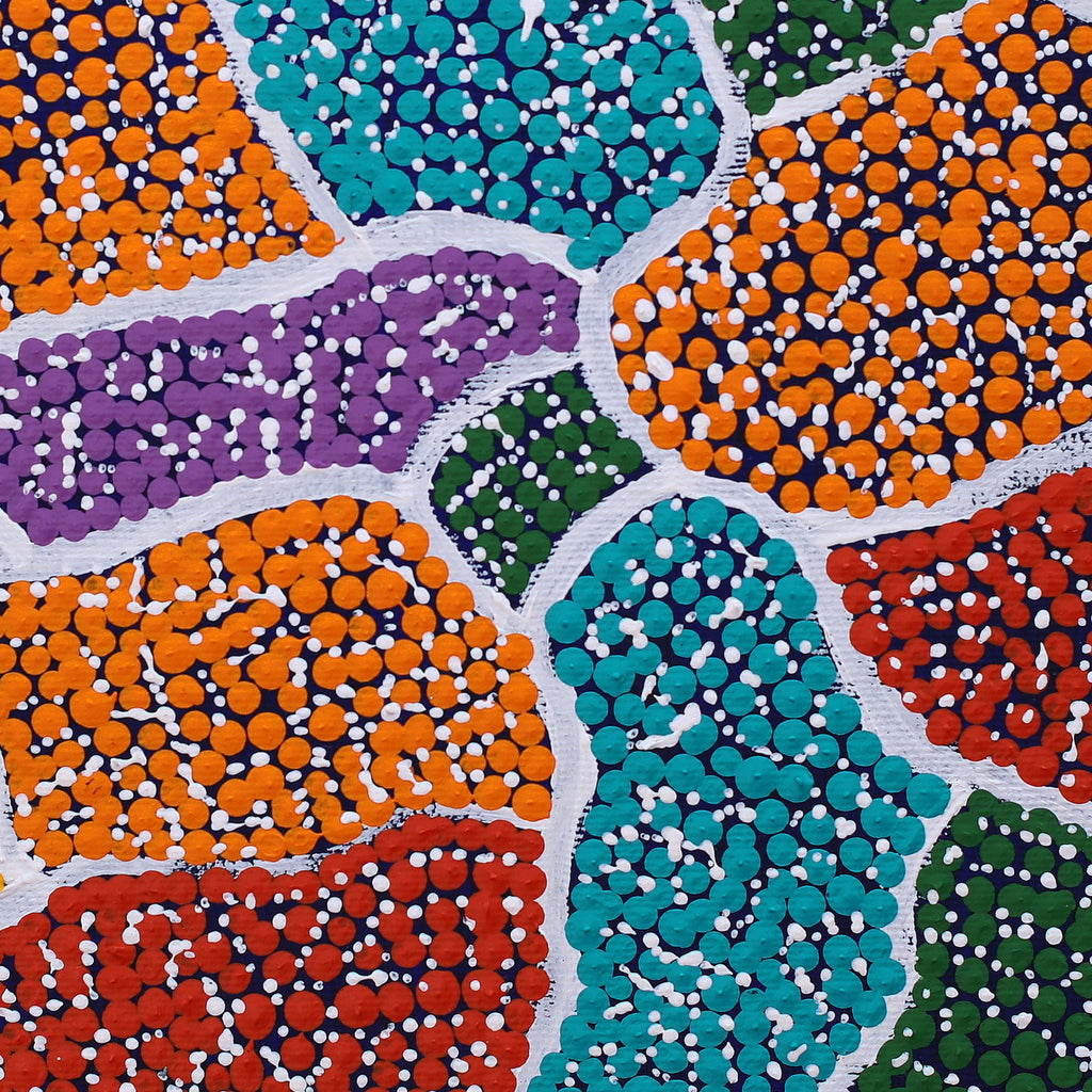 Aboriginal Artwork by Lara Nakamarra Dixon, Pikilyi Jukurrpa, 30x30cm