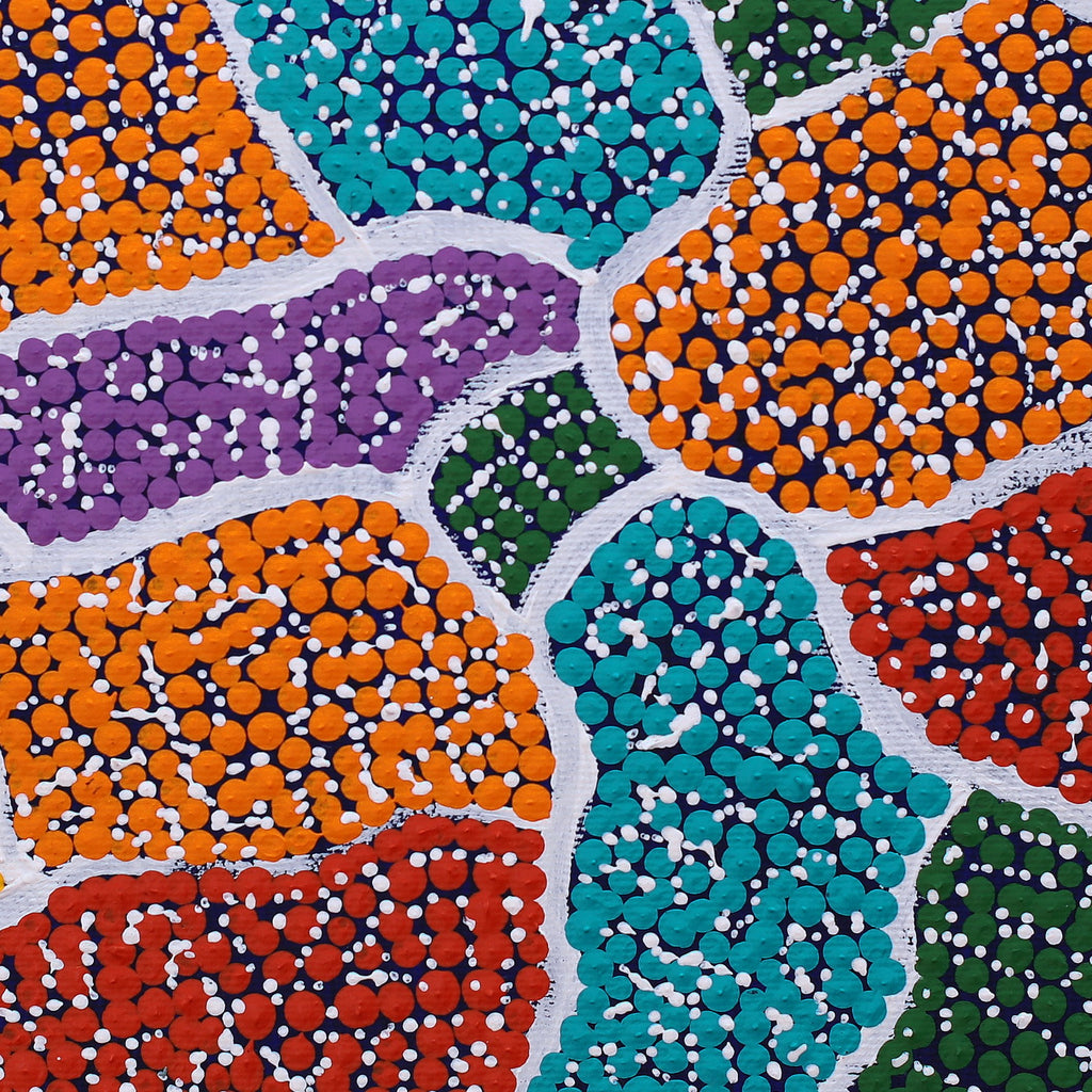Aboriginal Artwork by Lara Nakamarra Dixon, Pikilyi Jukurrpa, 30x30cm - ART ARK®
