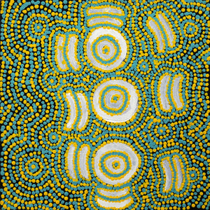 Aboriginal Artwork by Larissa Napangardi Granites, Pirlarla Jukurrpa (Dogwood Tree Bean Dreaming), 30x30cm - ART ARK®