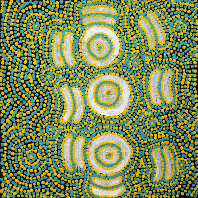 Aboriginal Artwork by Larissa Napangardi Granites, Pirlarla Jukurrpa (Dogwood Tree Bean Dreaming), 30x30cm