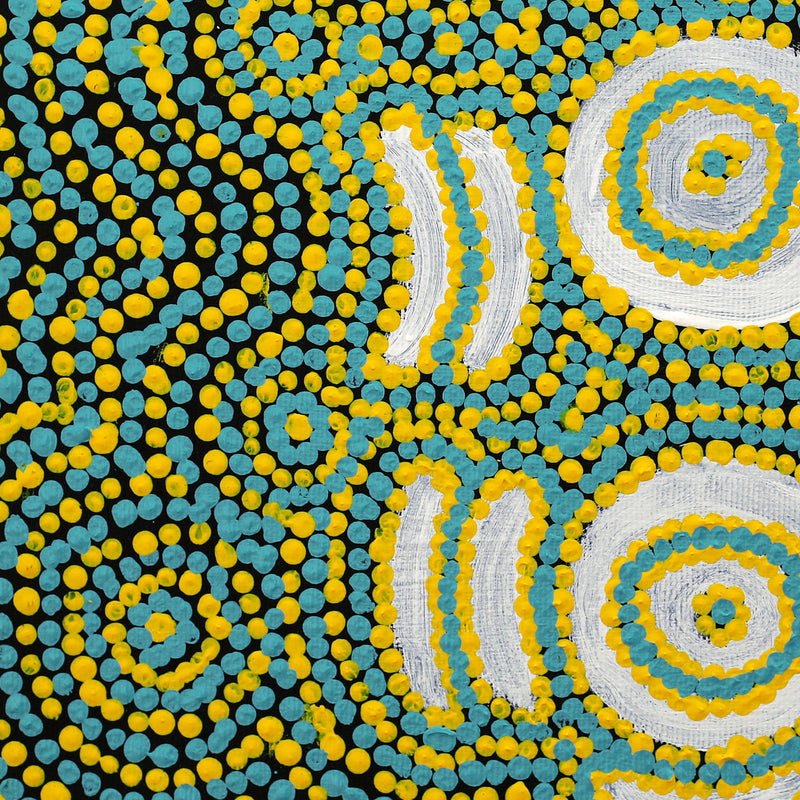 Aboriginal Artwork by Larissa Napangardi Granites, Pirlarla Jukurrpa (Dogwood Tree Bean Dreaming), 30x30cm