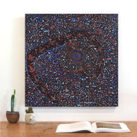 Aboriginal Artwork by Lloyd Jampijinpa Brown, Yankirri Jukurrpa (Emu Dreaming) - Ngarlikurlangu, 61x61cm