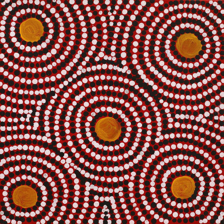 Aboriginal Artwork by Lorraine Napangardi Wheeler, Lukarrara Jukurrpa (Desert Fringe-rush Seed Dreaming), 30x30cm