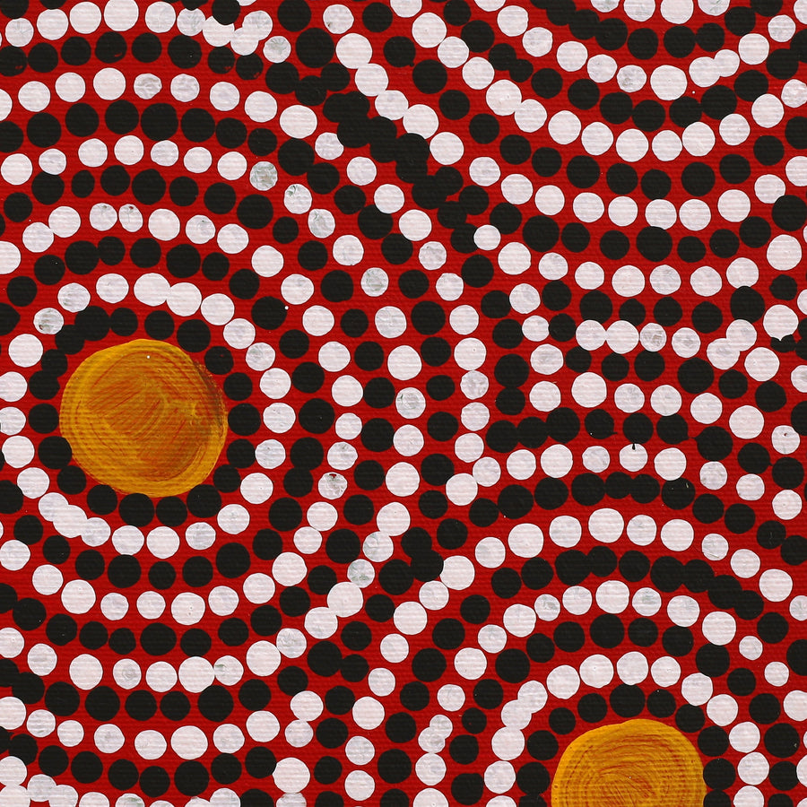 Aboriginal Artwork by Lorraine Napangardi Wheeler, Lukarrara Jukurrpa (Desert Fringe-rush Seed Dreaming), 30x30cm