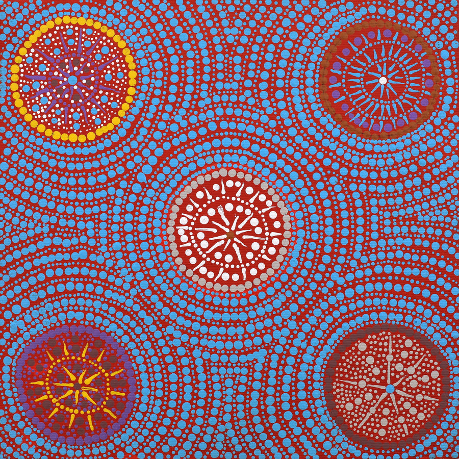 Aboriginal Artwork by Marcia Nangala Martin, Patterns of the Landscape around Yuendumu, 30x30cm