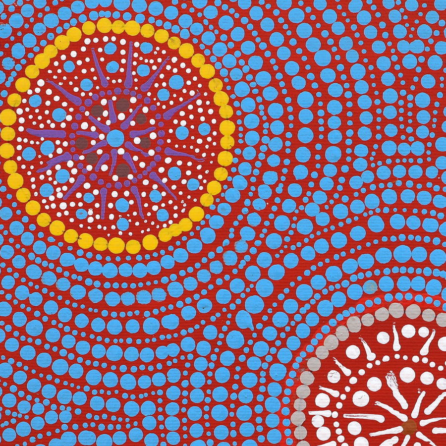 Aboriginal Artwork by Marcia Nangala Martin, Patterns of the Landscape around Yuendumu, 30x30cm