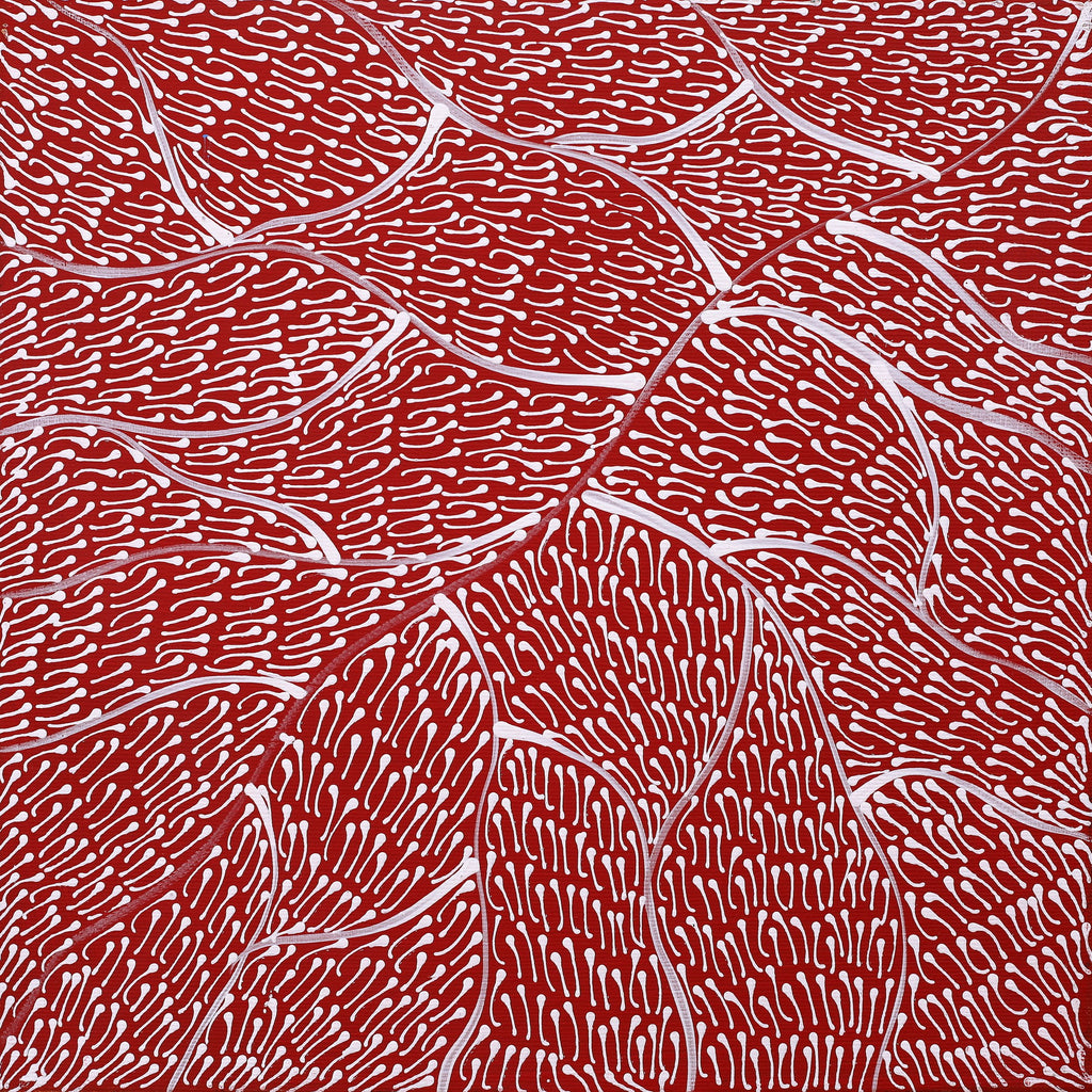 Aboriginal Art by Mary Napangardi Butcher, Pikilyi Jukurrpa, 30x30cm - ART ARK®