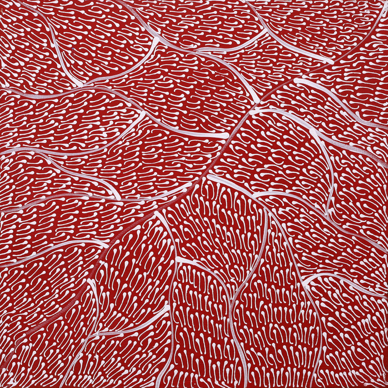 Aboriginal Artwork by Mary Napangardi Butcher, Pikilyi Jukurrpa, 30x30cm