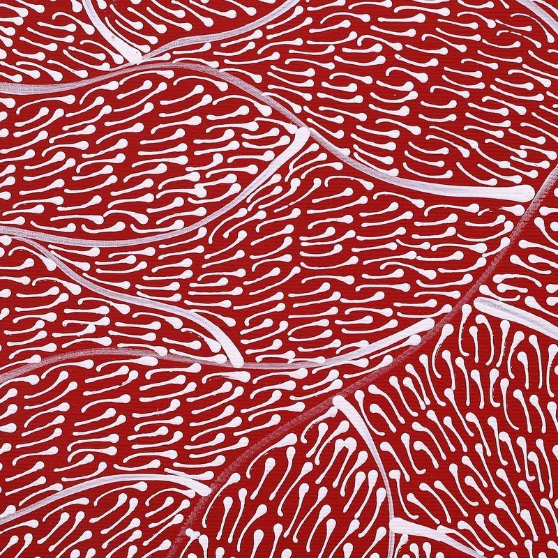 Aboriginal Artwork by Mary Napangardi Butcher, Pikilyi Jukurrpa, 30x30cm