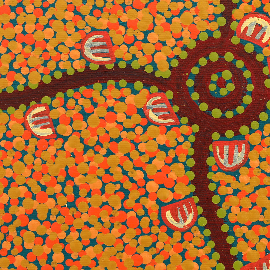 Aboriginal Artwork by Melissa Napangardi Williams, Wardapi Jukurrpa (Goanna Dreaming) - Yarripurlangu, 30x30cm