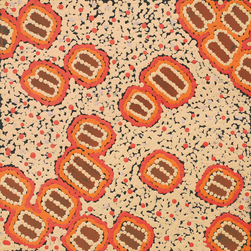 Aboriginal Artwork by Mickaela Napangardi Lankin, Pamapardu Jukurrpa (Flying Ant Dreaming) - Warntungurru, 30x30cm