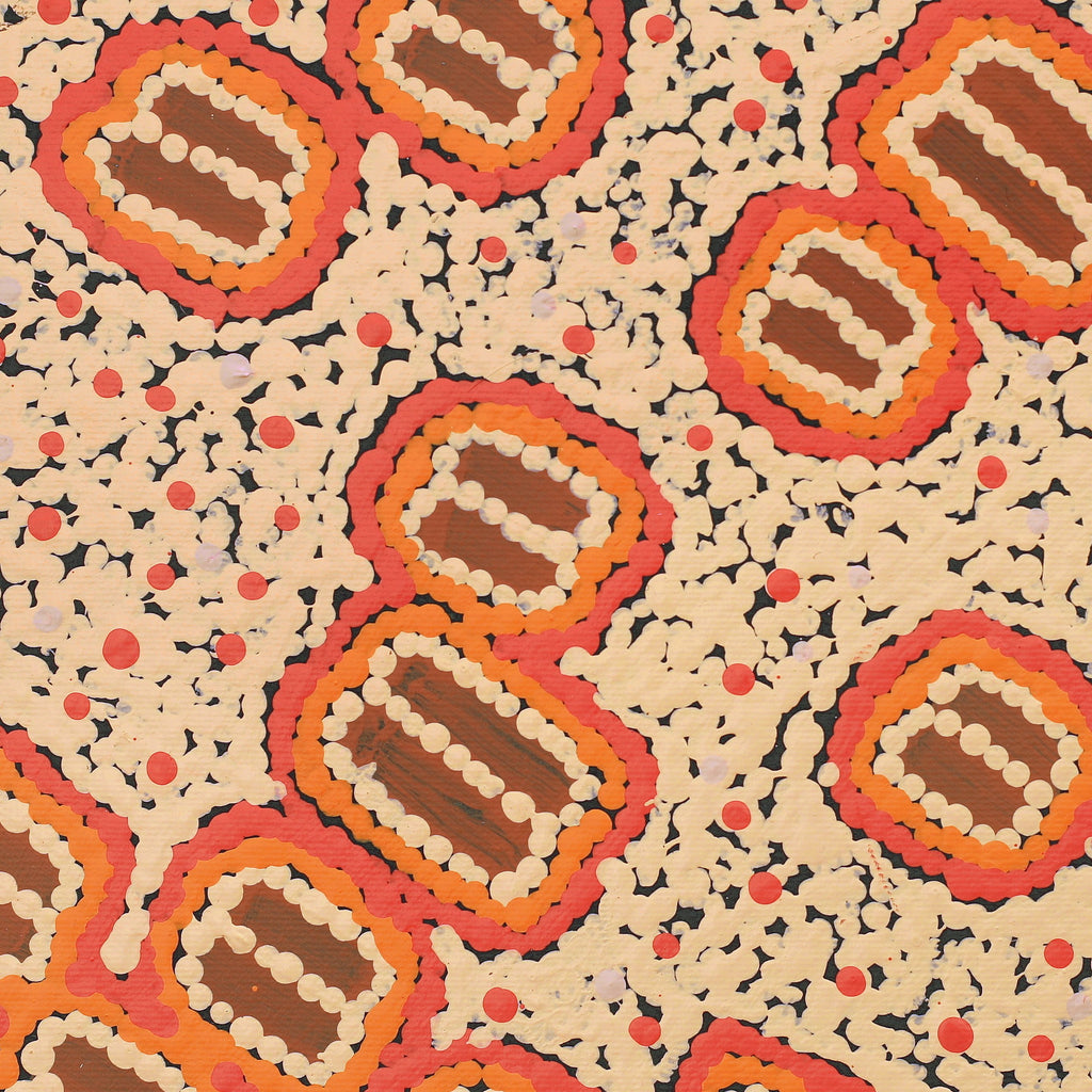 Aboriginal Artwork by Mickaela Napangardi Lankin, Pamapardu Jukurrpa (Flying Ant Dreaming) - Warntungurru, 30x30cm