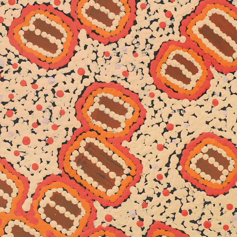 Aboriginal Artwork by Mickaela Napangardi Lankin, Pamapardu Jukurrpa (Flying Ant Dreaming) - Warntungurru, 30x30cm