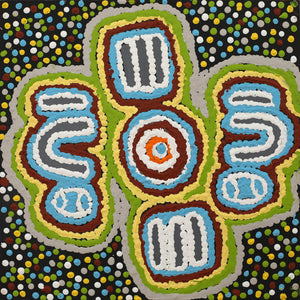 Aboriginal Artwork by Monica Napaljarri Nelson, Mina Mina Dreaming, 30x30cm - ART ARK®