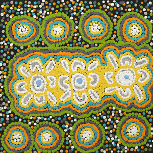 Aboriginal Artwork by Monica Napaljarri Nelson, Mina Mina Dreaming, 30x30cm - ART ARK®