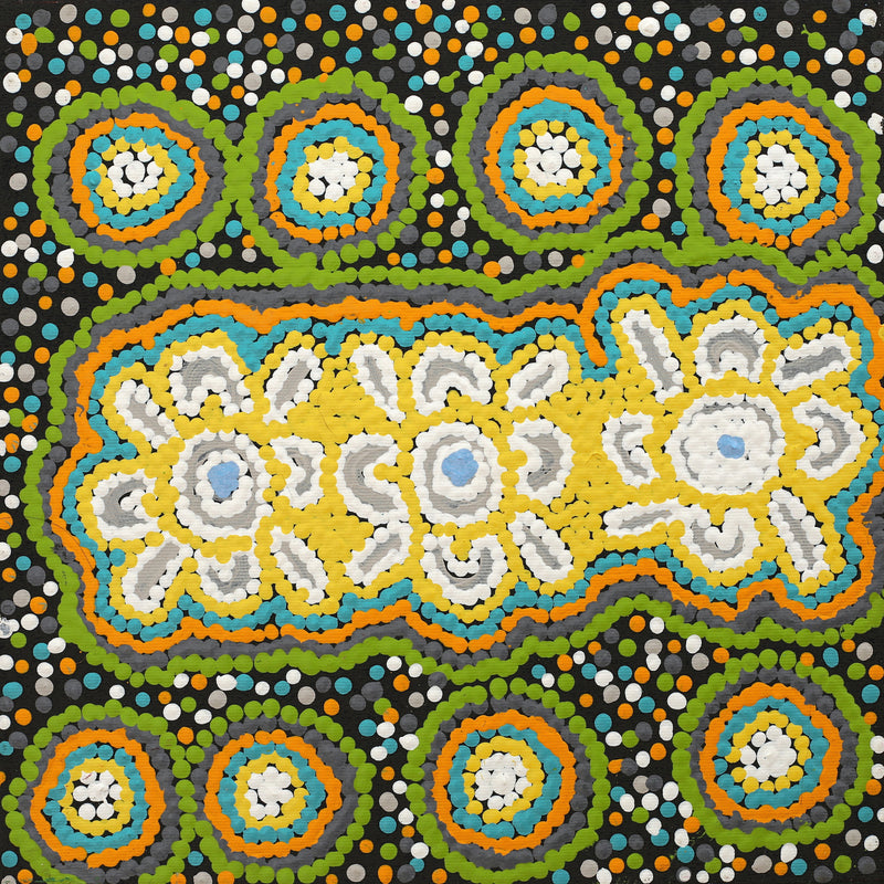 Aboriginal Artwork by Monica Napaljarri Nelson, Mina Mina Dreaming, 30x30cm