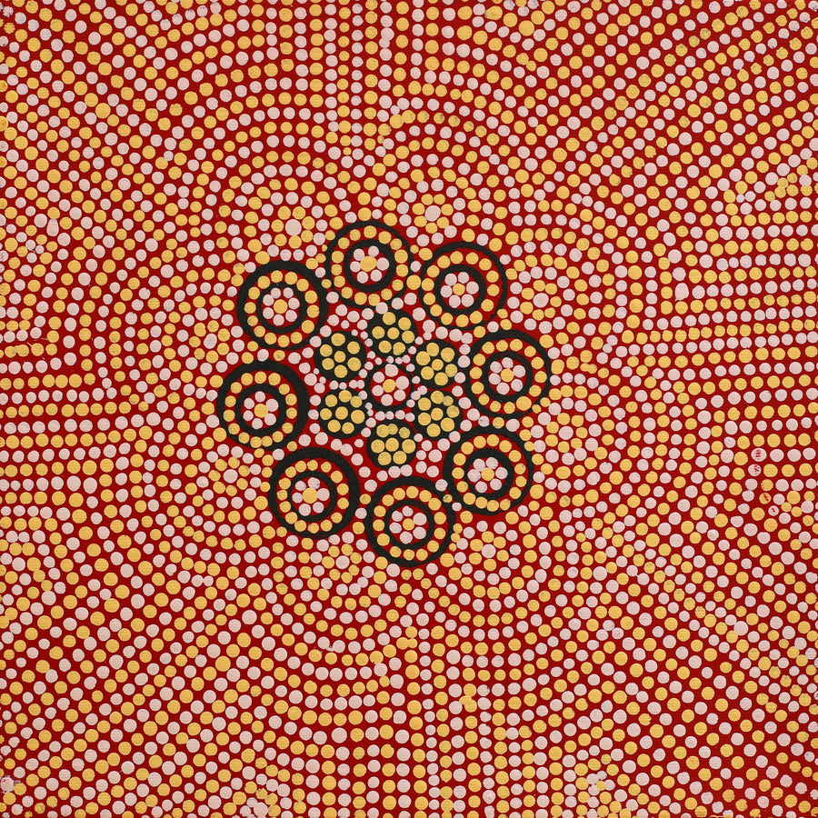 Aboriginal Artwork by Nardia Napurrurla Stafford, Ngurlu Jukurrpa (Native Seed Dreaming), 30x30cm