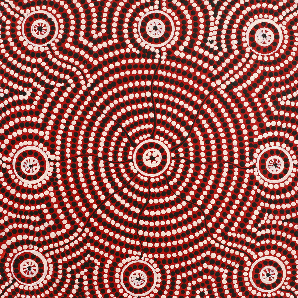 Aboriginal Artwork by Nardia Napurrurla Stafford, Ngurlu Jukurrpa (Native Seed Dreaming), 30x30cm