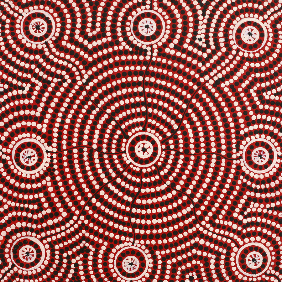 Aboriginal Artwork by Nardia Napurrurla Stafford, Ngurlu Jukurrpa (Native Seed Dreaming), 30x30cm