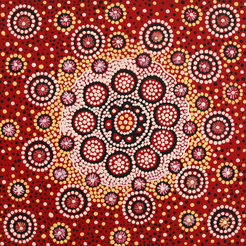 Aboriginal Artwork by Nardia Napurrurla Stafford, Ngurlu Jukurrpa (Native Seed Dreaming), 30x30cm
