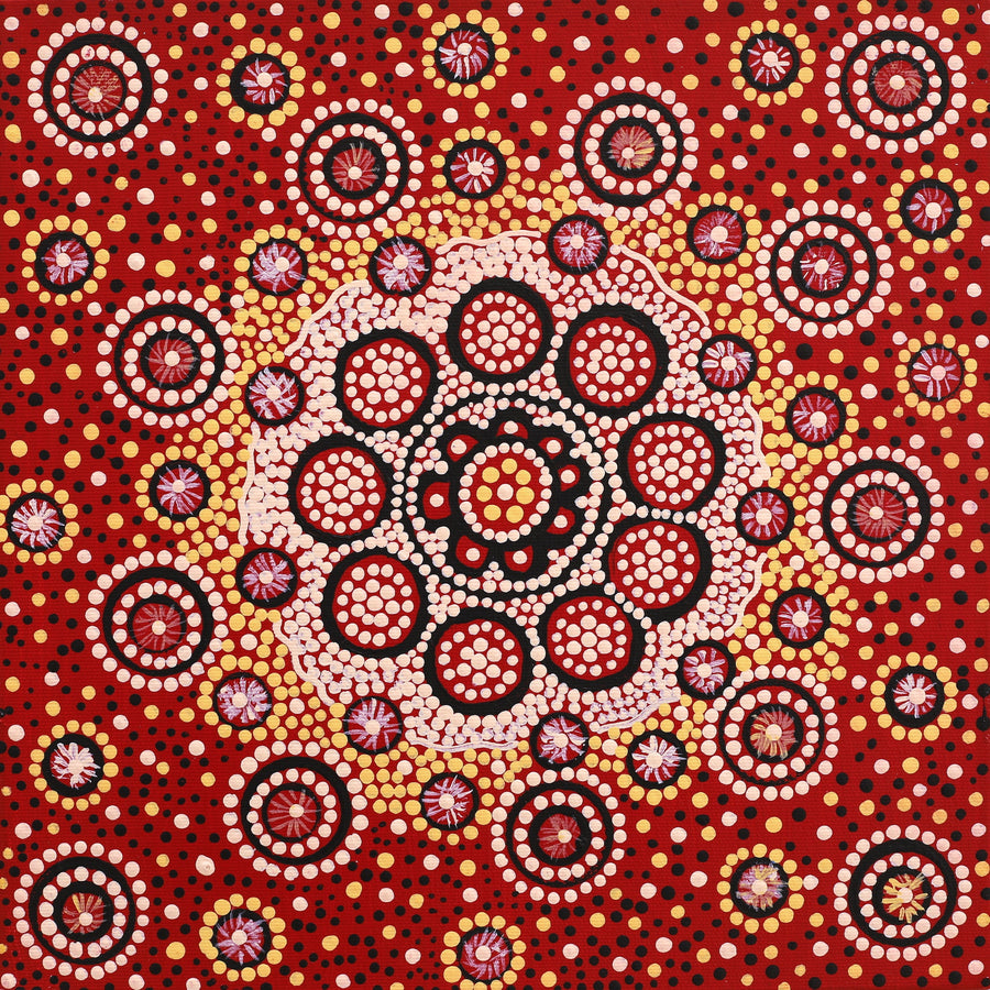 Aboriginal Artwork by Nardia Napurrurla Stafford, Ngurlu Jukurrpa (Native Seed Dreaming), 30x30cm