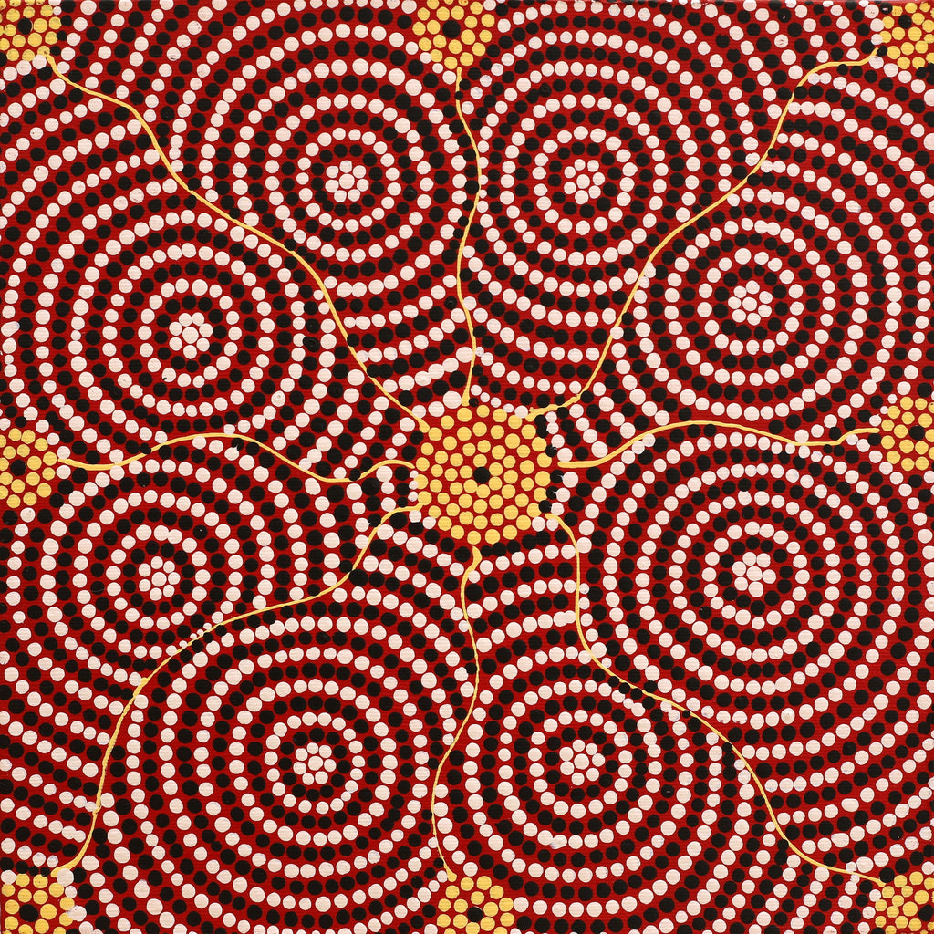 Aboriginal Artwork by Nardia Napurrurla Stafford, Ngurlu Jukurrpa (Native Seed Dreaming), 30x30cm