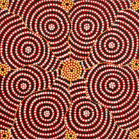 Aboriginal Artwork by Nardia Napurrurla Stafford, Ngurlu Jukurrpa (Native Seed Dreaming), 30x30cm